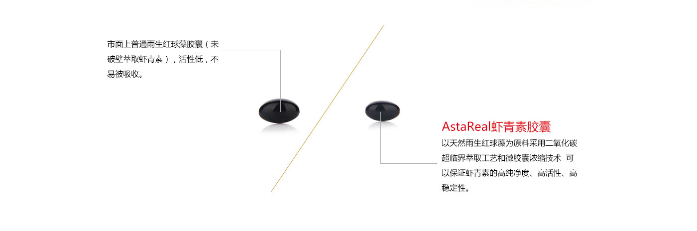 astareal虾青素网站设计